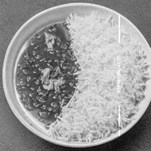 Egg Chopper Rice