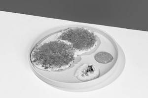 Ghee Uthappam