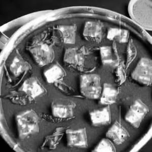 Sd Paneer Aasiyana