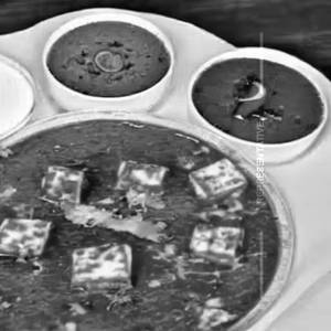 Sd Pahadi Paneer