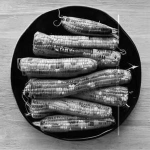 Sd Corn Petis