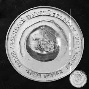Sd Veg Gold Coin