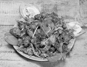 Gobi Manchuriann
