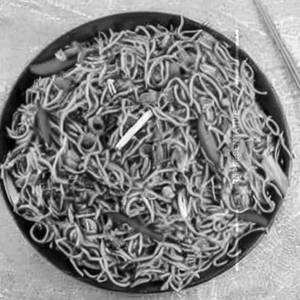 Egg Combination Fried Noodles