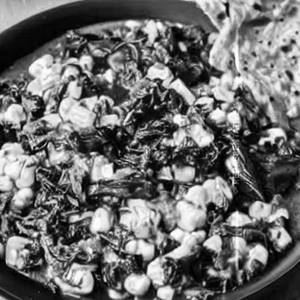 Sd Cheese Corn Palak
