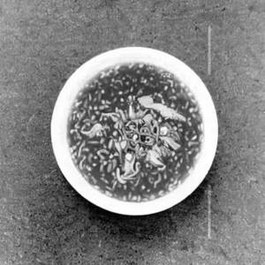 Chicken Monchow Soup