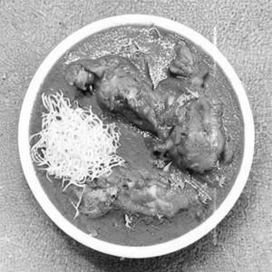 Matki Chicken