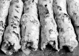 Malai Chicken Seekh Kebab