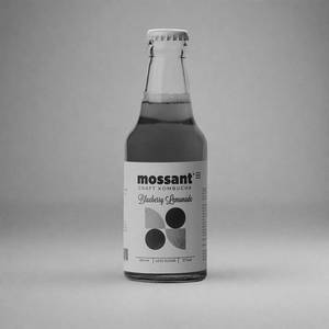Blueberry Kombucha