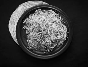 Veg Chowmein