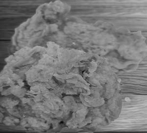 F2C Fried Chicken