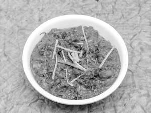 Karahi Mushroom
