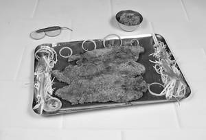Bombil tawa fry