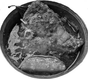 Katla lal jhol (2 pcs)