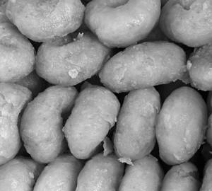 Balushahi