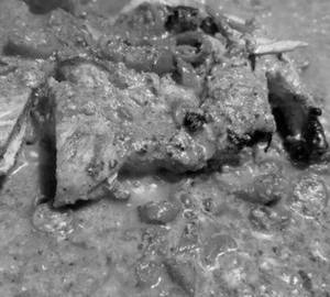 Tawa Chicken