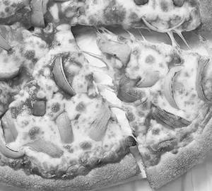 Onion Pizza