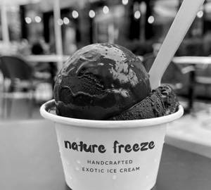 2 Pieces Of Dark Chocolate Ice Cream [100 Ml]