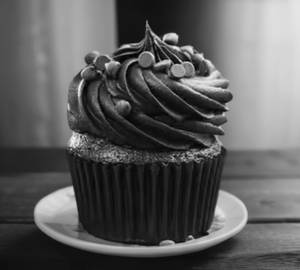 Chocolate Cupcake