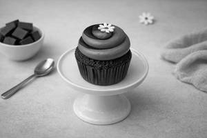 Sinful Chocolate Cupcake - Kids Favourite