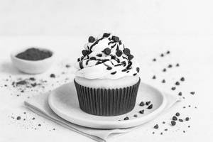 Choco Chip Cupcake