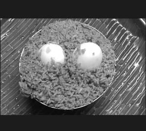 Egg Biryani