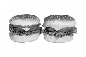 Twin Veg Burgers Combo