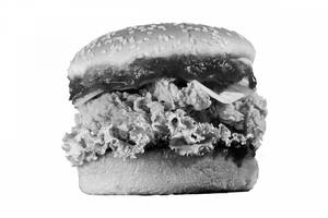 Crispy Fish Burger