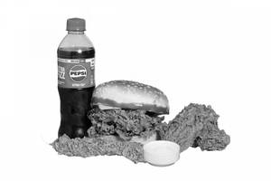 Chicken Burger Box
