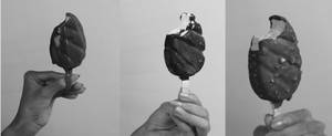 Brain Freeze