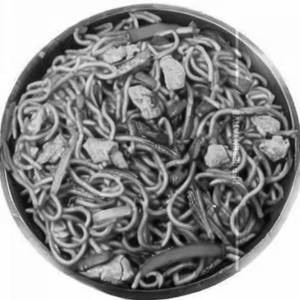 Chicken Schezwan Noodles