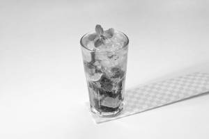 Mint Mojito