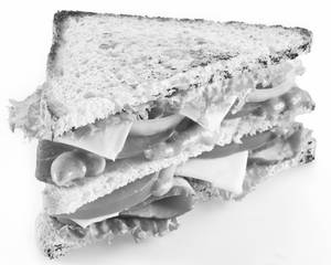 Chicken makhani wrap