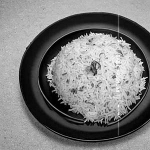 Prawn Rice