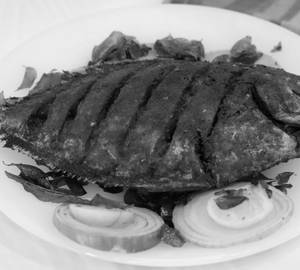 Fish 65