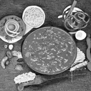 Veg Schezwan Sauce