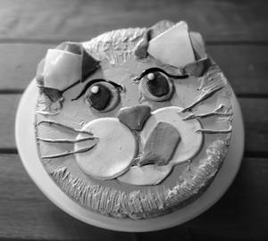 Choco vanilla cake
