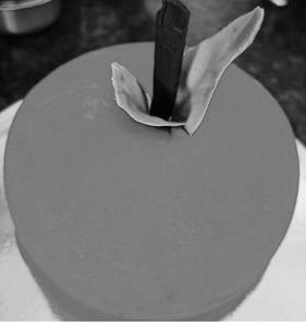Special Cakes