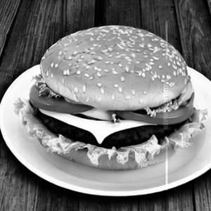 Patty cheese burger [double]