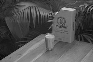 Classic Chai 250ml Flask (serves 2-3).