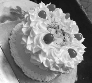 Vanilla party cake