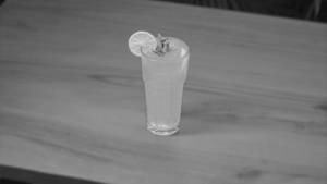 Virgin Mint Mojito