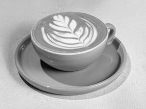Hot Latte (240ml)