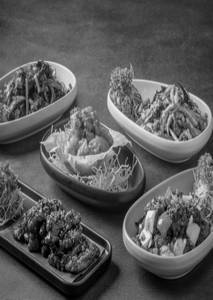 Non Veg Appetizers Party Pack