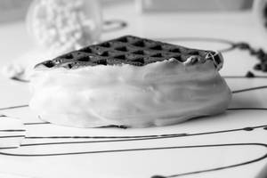 Dark & White Fantasy Waffle Sandwich