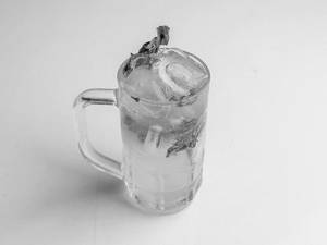 Classic Mint Mojito