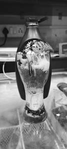 Special falooda [350 ml]