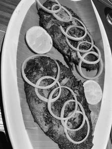 Fish Apollo