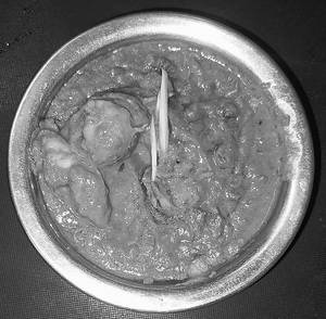 MURGH Hydrabadi