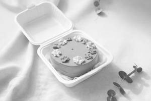 Chocochips Bento Cake